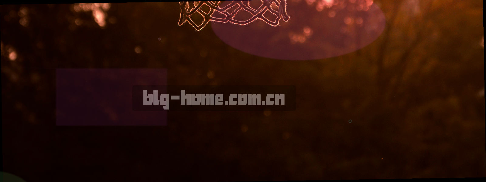 纸张纤维与细金线交织的抽象图形，示意信息被整齐收拢封存